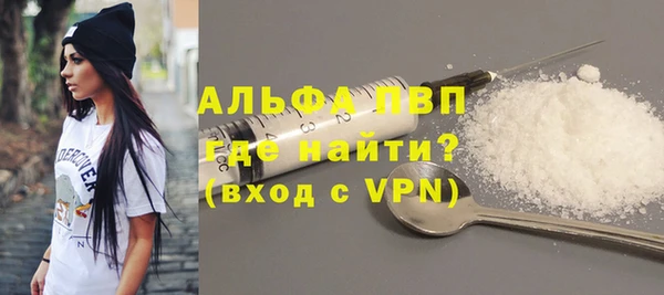 шишки Инсар