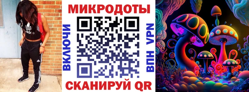 Купить где  Зерноград  Псилоцибиновые грибы Psilocybe 